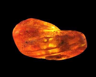 Amber - Gdaňsk, Wyspa Sobieszewska (Balt coast), Poland