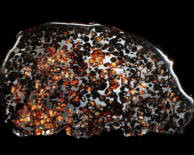 Pallasite - Sericho, Kenya